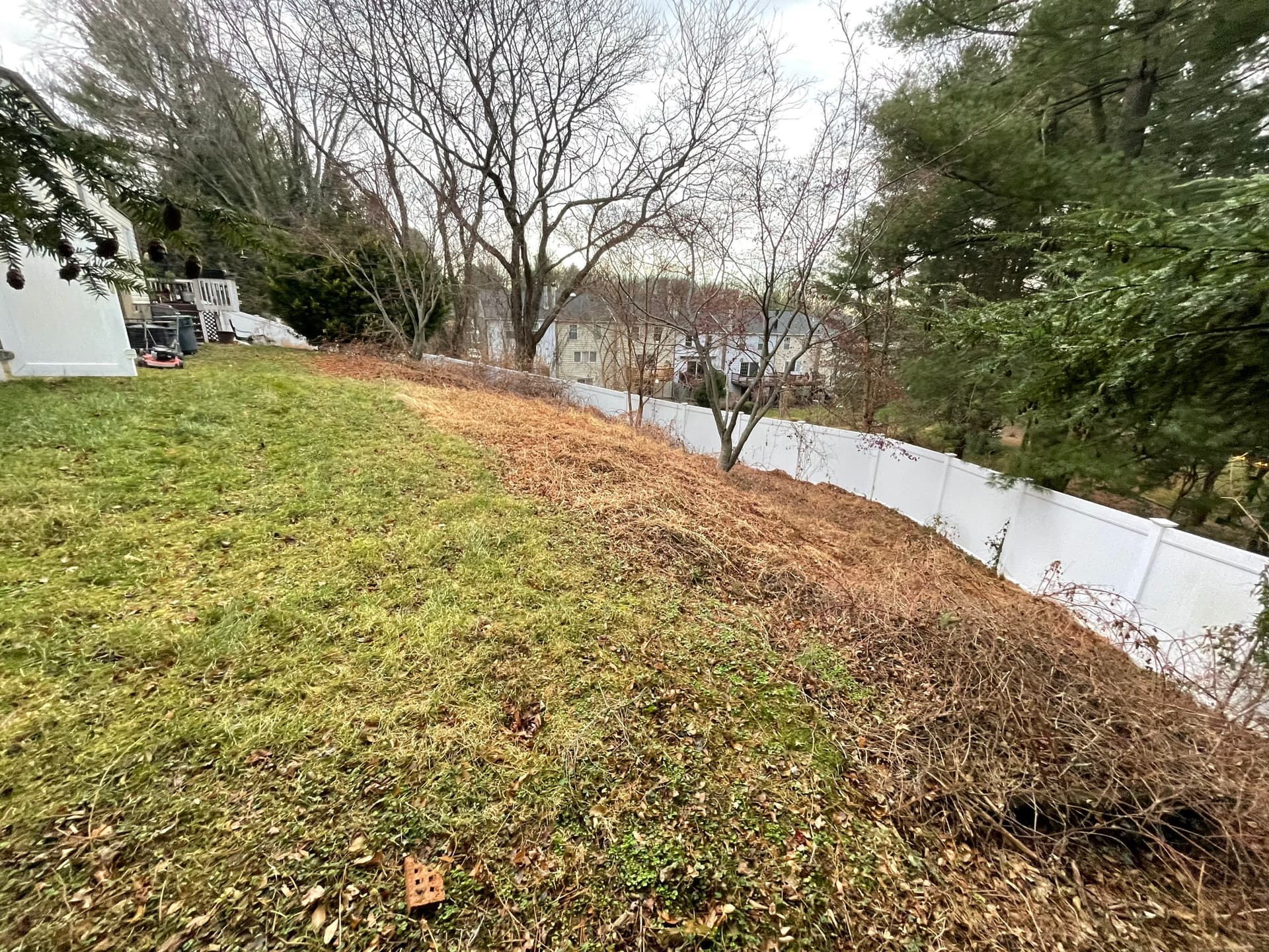 Gallery photos for Revamp Your Backyard with Woodridge Outdoor Services: Image #2