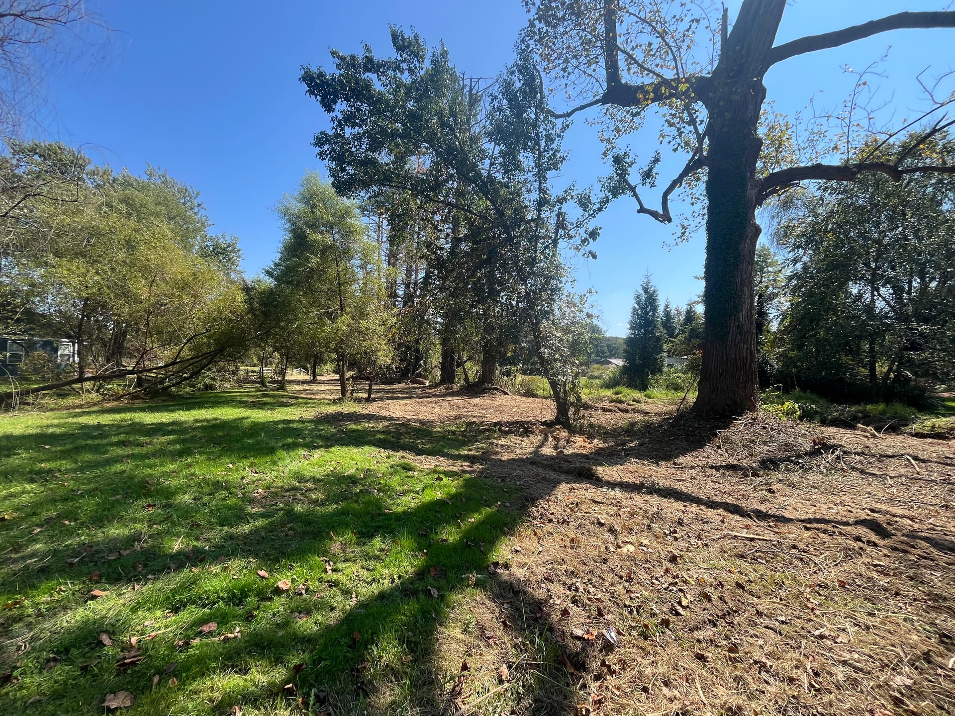 Gallery photos for Transforming Untamed Land into Usable Space: Image #9