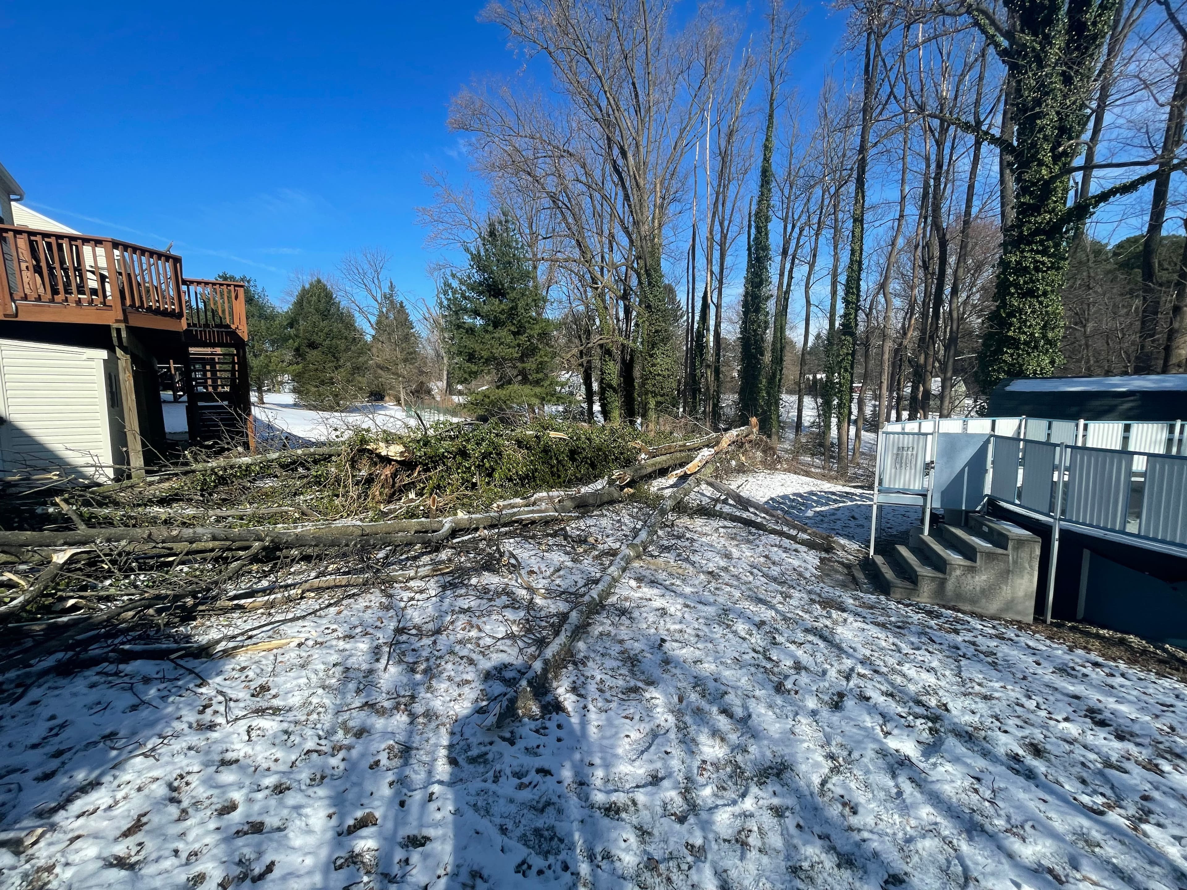 Project Efficient Wind Storm Clean-Up Restores Yard image