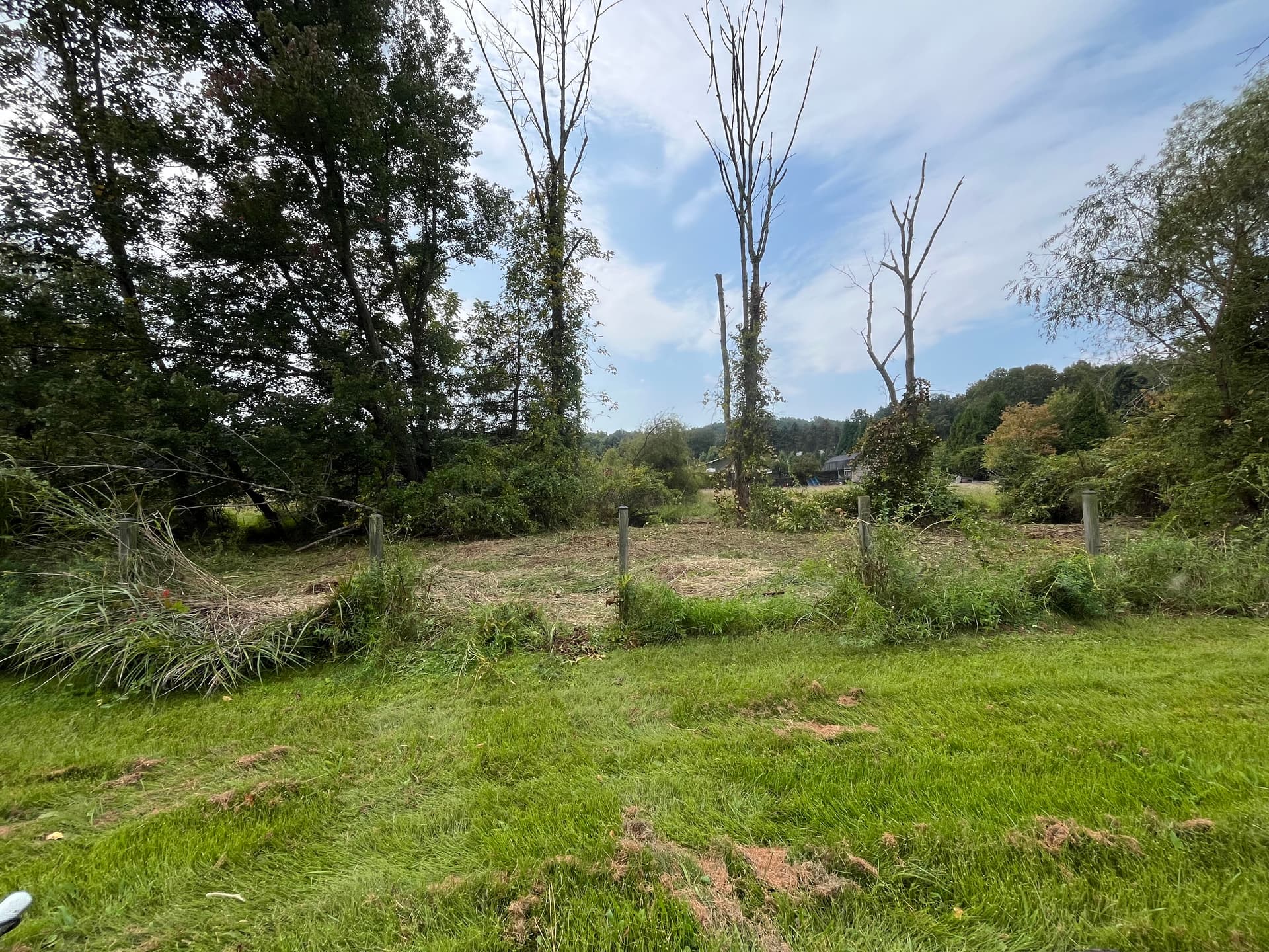 Gallery photos for Transforming Untamed Land into Usable Space: Image #2