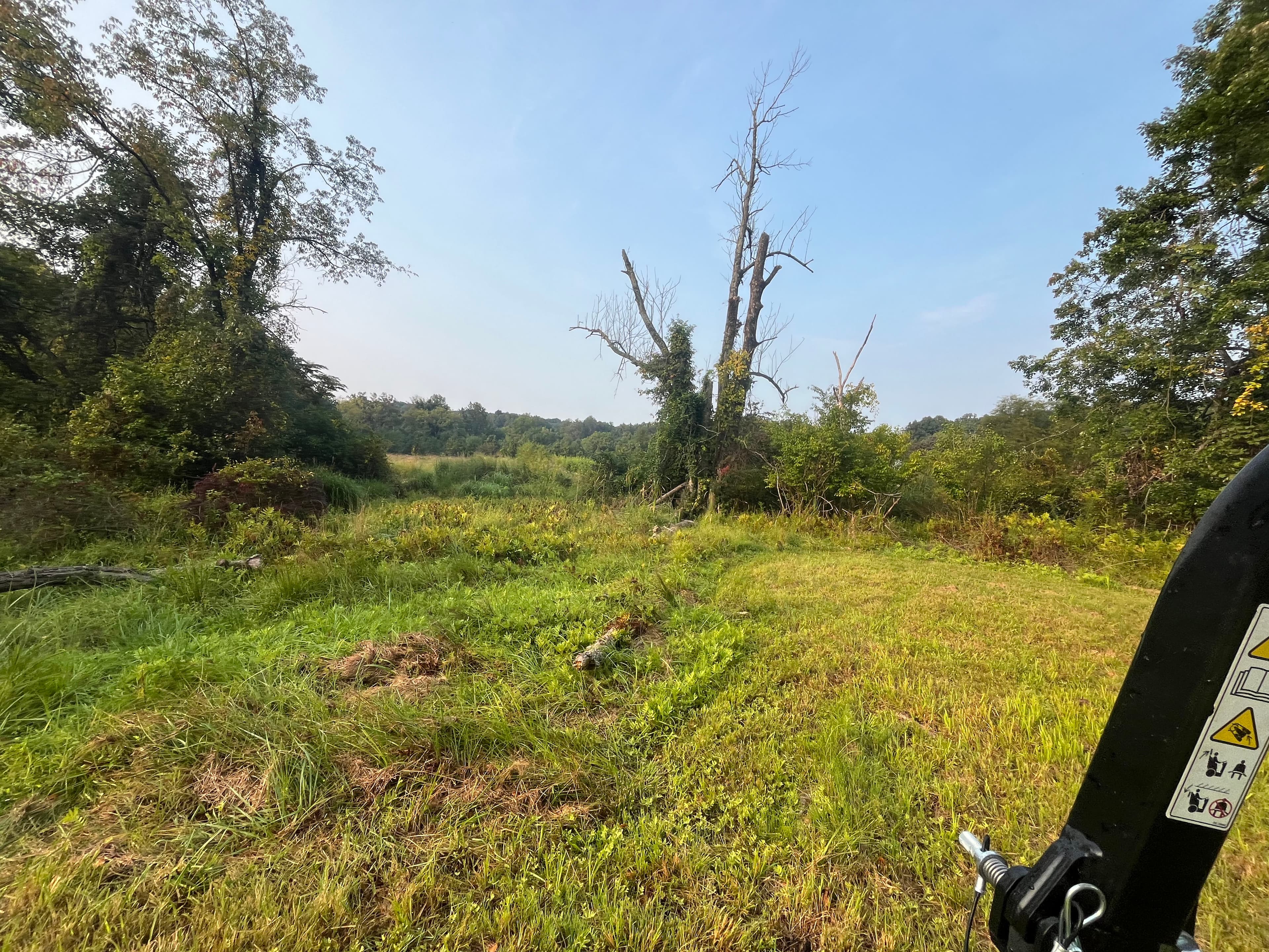 Project Transforming Untamed Land into Usable Space image