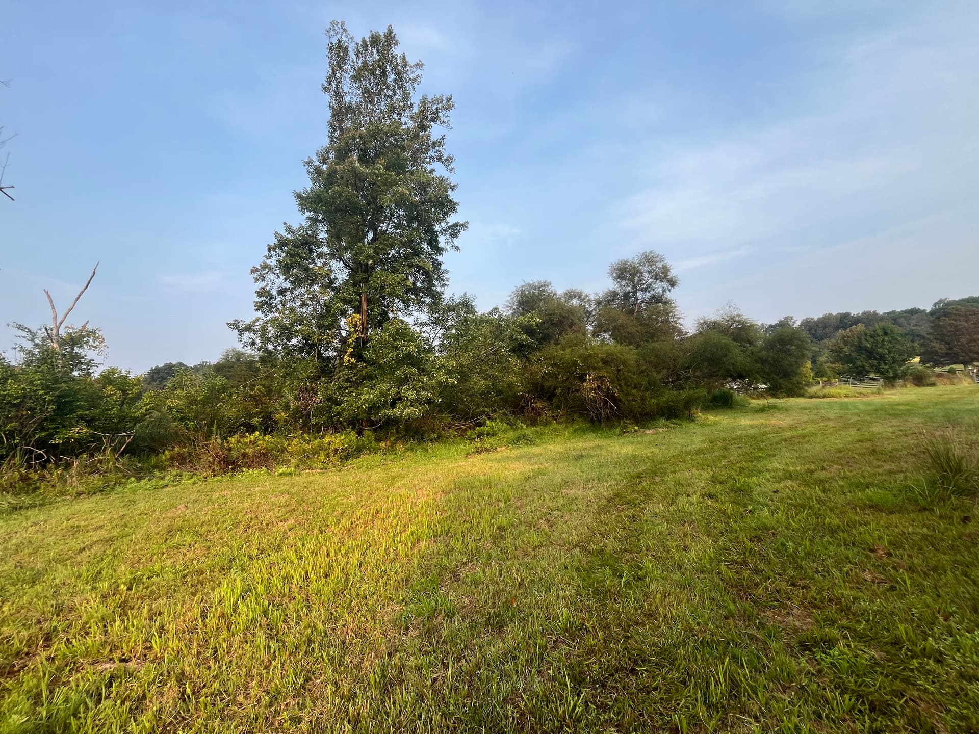 Gallery photos for Transforming Untamed Land into Usable Space: Image #1