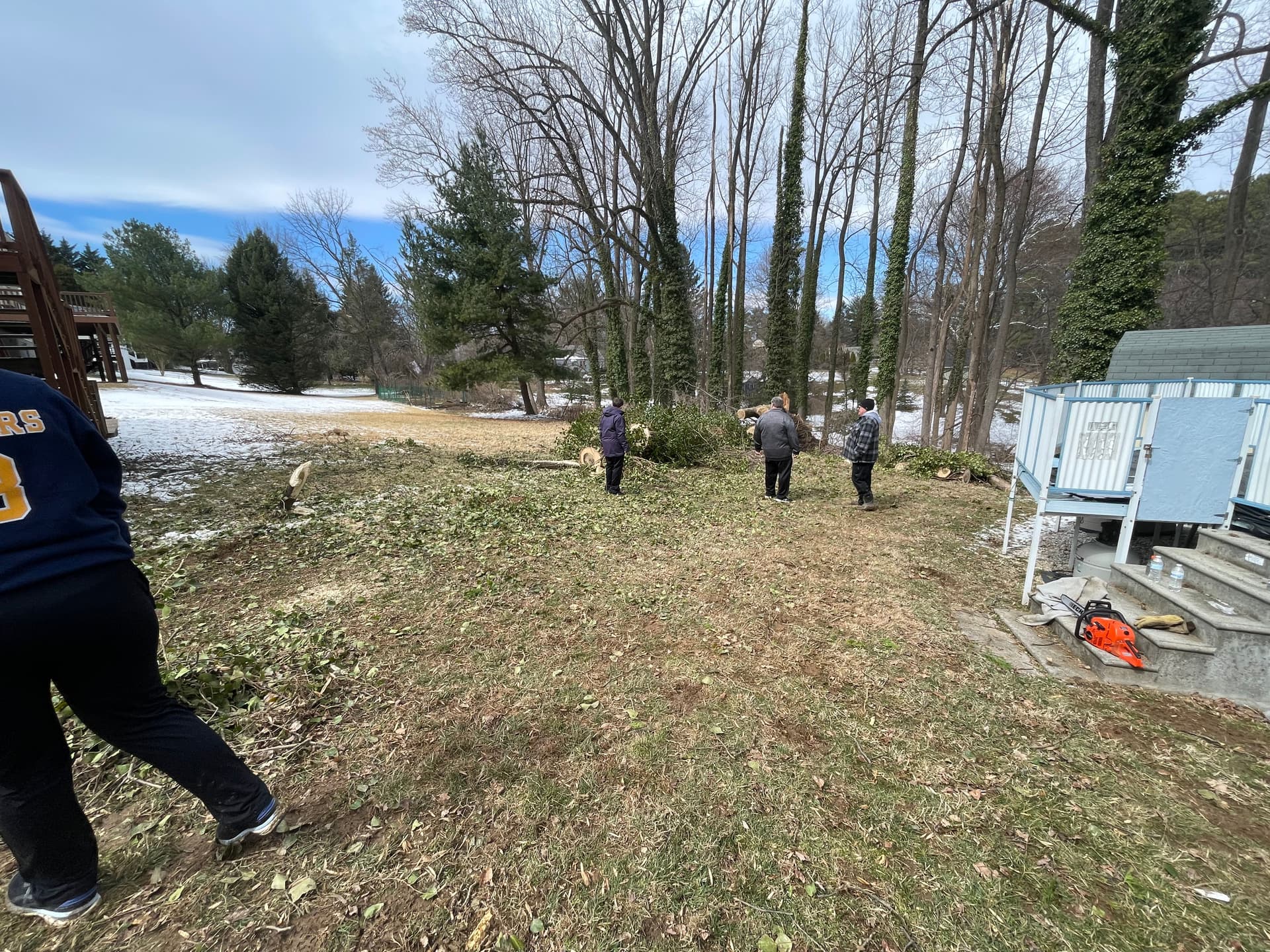 Gallery photos for Efficient Wind Storm Clean-Up Restores Yard: Image #1