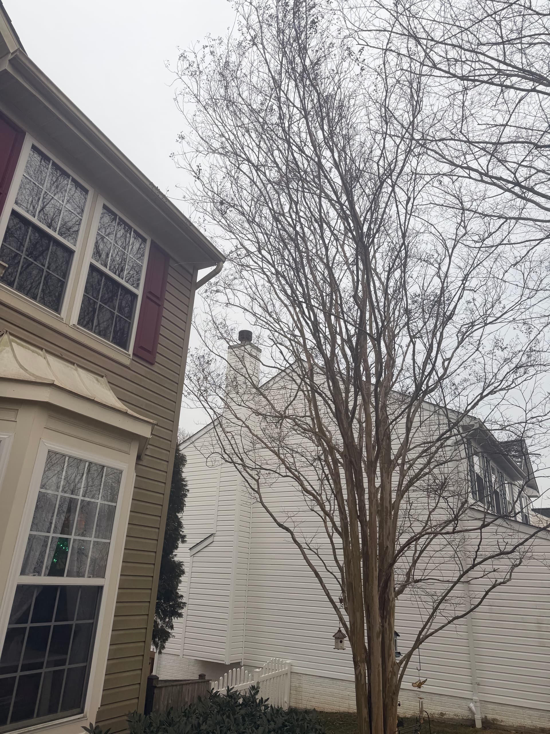 Preparing Your Property for Winter Storms image