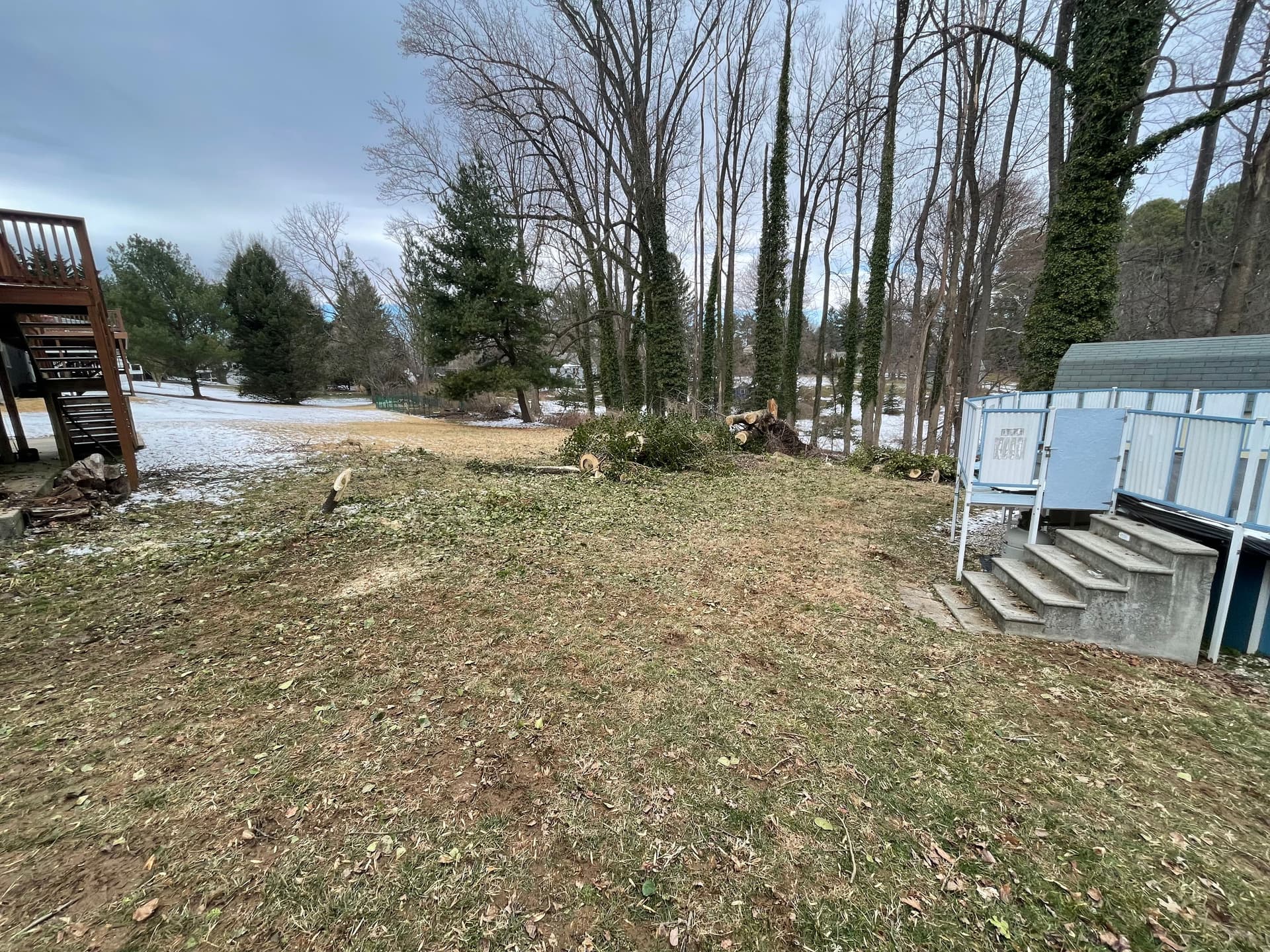 Gallery photos for Efficient Wind Storm Clean-Up Restores Yard: Image #2